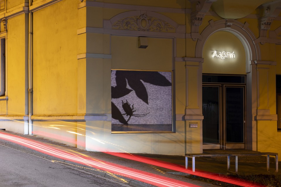 Bielefeld-Galerie-7