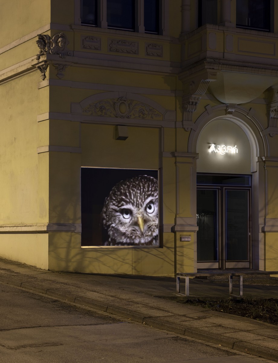 Bielefeld-Galerie-8