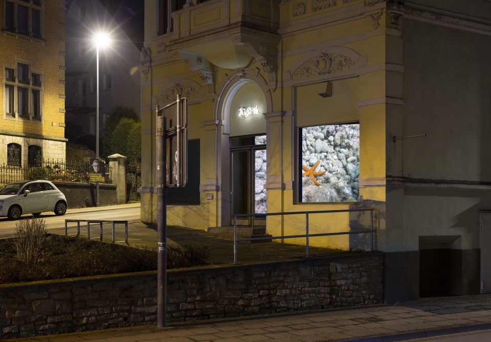 Bielefeld-Galerie